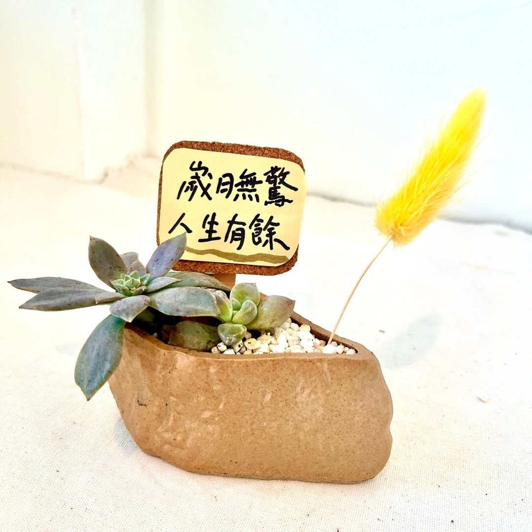 日式枯山水 多肉盆栽 造型石 捧在手掌心盆栽 定制化送礼 日式 - 植栽/盆栽 - 植物．花 绿色