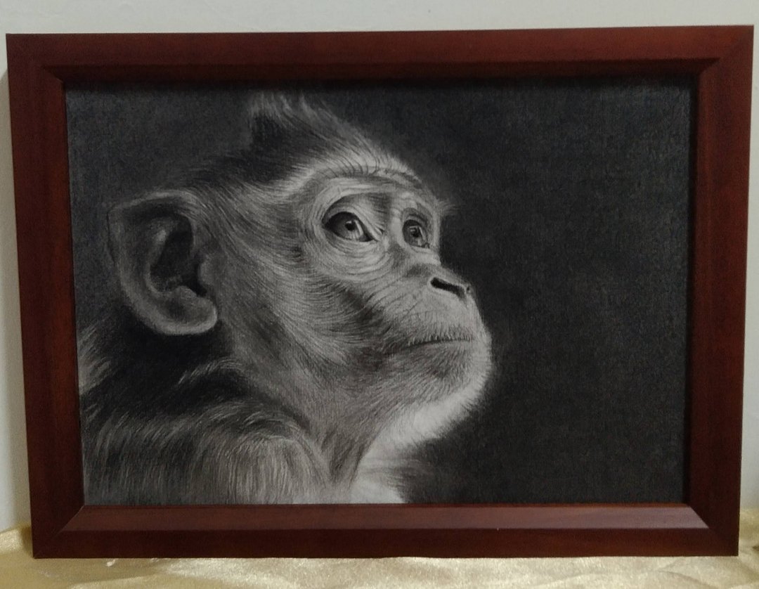 摆设 / 猴子 / 铅笔画 / 原稿 / 含框 - 海报/装饰画/版画 - 纸 