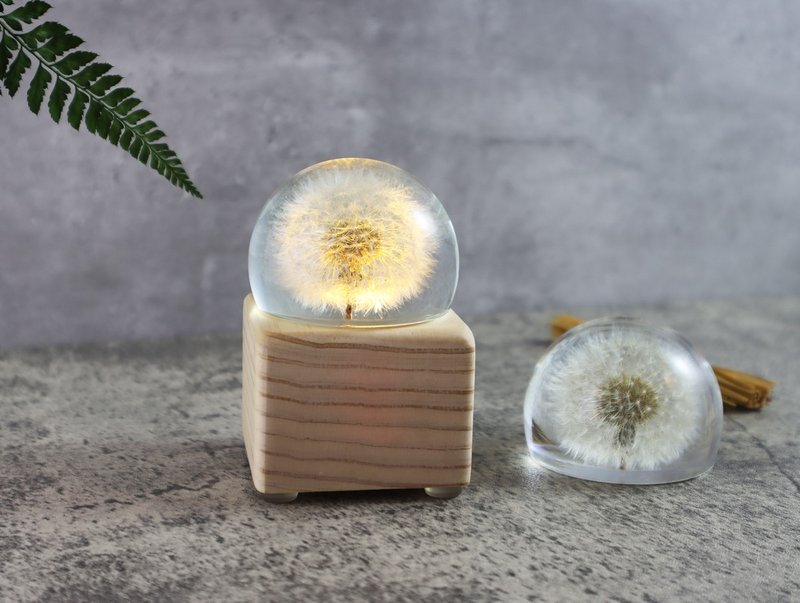梦天涯 蒲公英冰砖~音乐盒(半圆) 带灯发条 - 摆饰 - 树脂 白色
