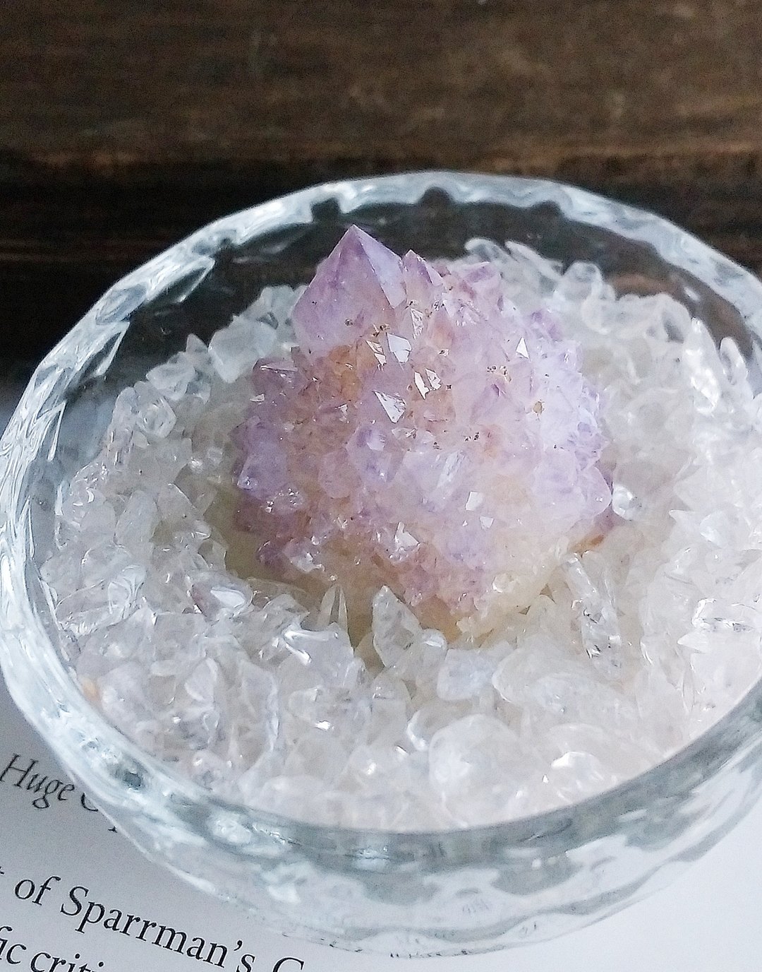 Cactus Amethyst 南非产地 仙人掌紫水晶 天然矿石 原矿 - 摆饰 - 其他材质 