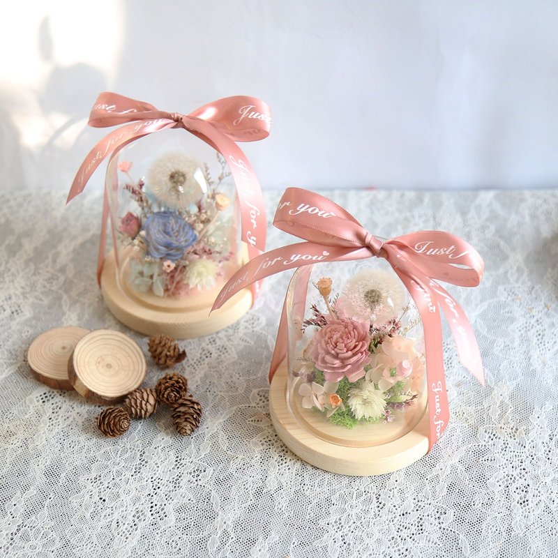 S16蒲公英罩盅 / 玻璃罩盅 玻璃花盅 毕业礼物 - 干燥花/捧花 - 植物．花 