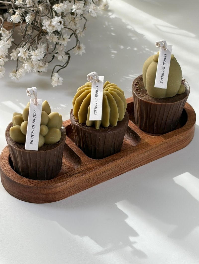 以多肉植物为灵感， - 蜡烛/烛台 - 蜡 