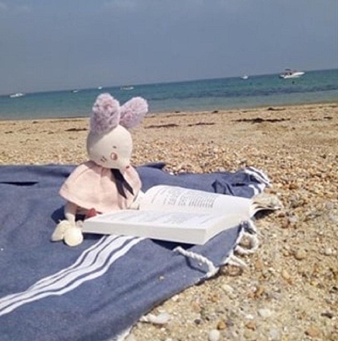 法国 Moulin Roty 雨后系列-迷雾老鼠 28cm - 玩具/玩偶 - 棉．麻 多色