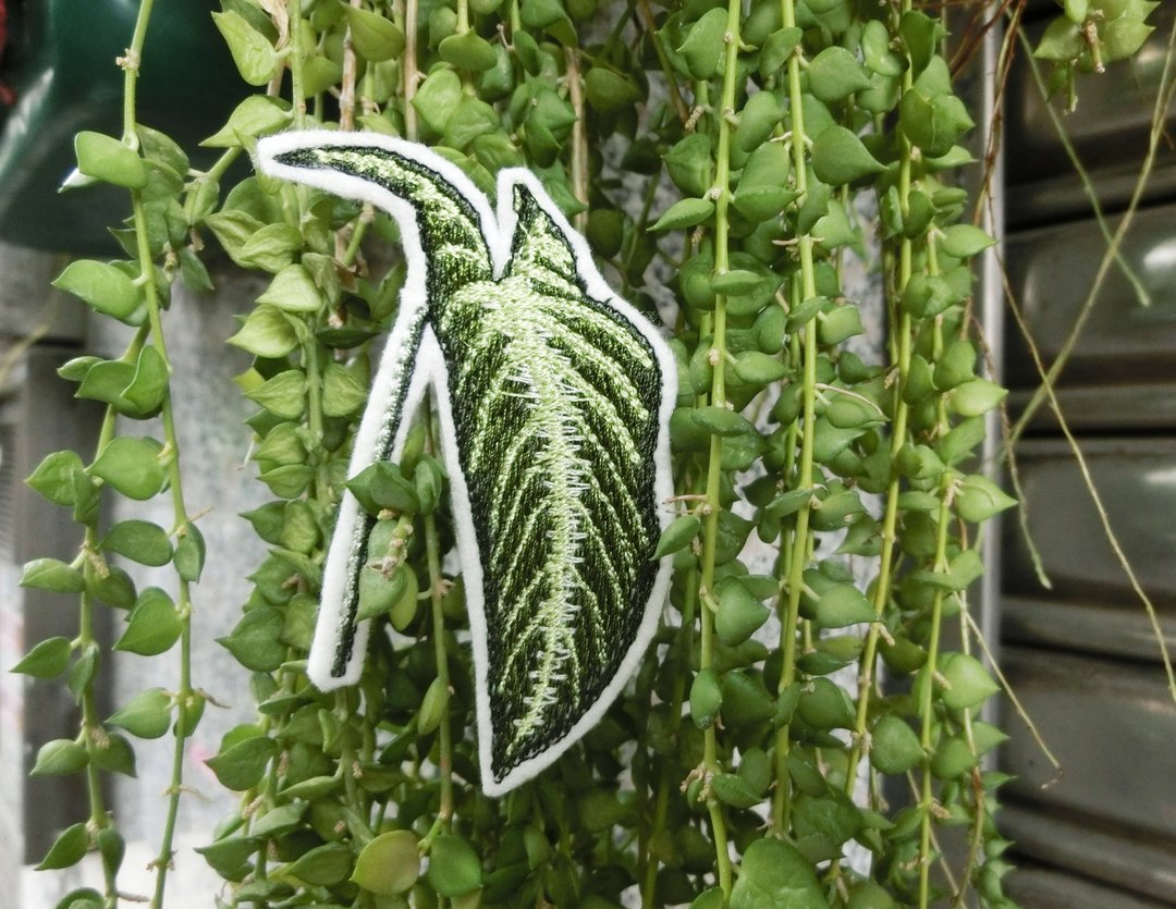 观叶 刺绣别针 /刺绣贴(1个) __ 植物、圣诞礼物、插画、包邮 - 徽章/别针 - 绣线 绿色