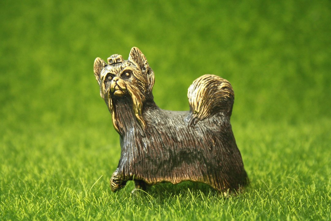 Yorkshire Terrier dog - miniature statuette of brass, metal figurine - 摆饰 - 铜/黄铜 