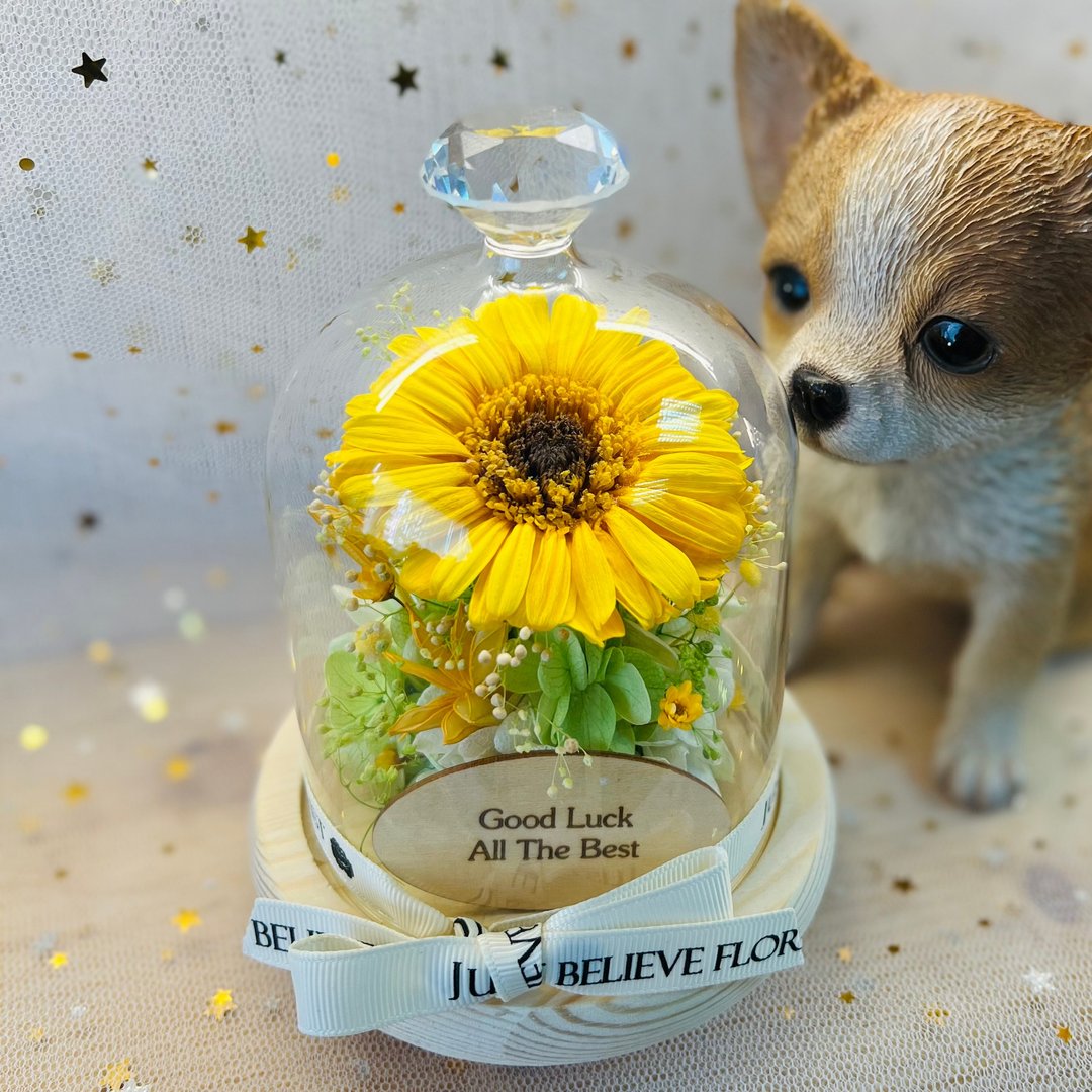 毕业礼物 永生花向日葵钻石顶玻璃罩 谢师 定制文字木牌 - 干燥花/捧花 - 植物．花 橘色