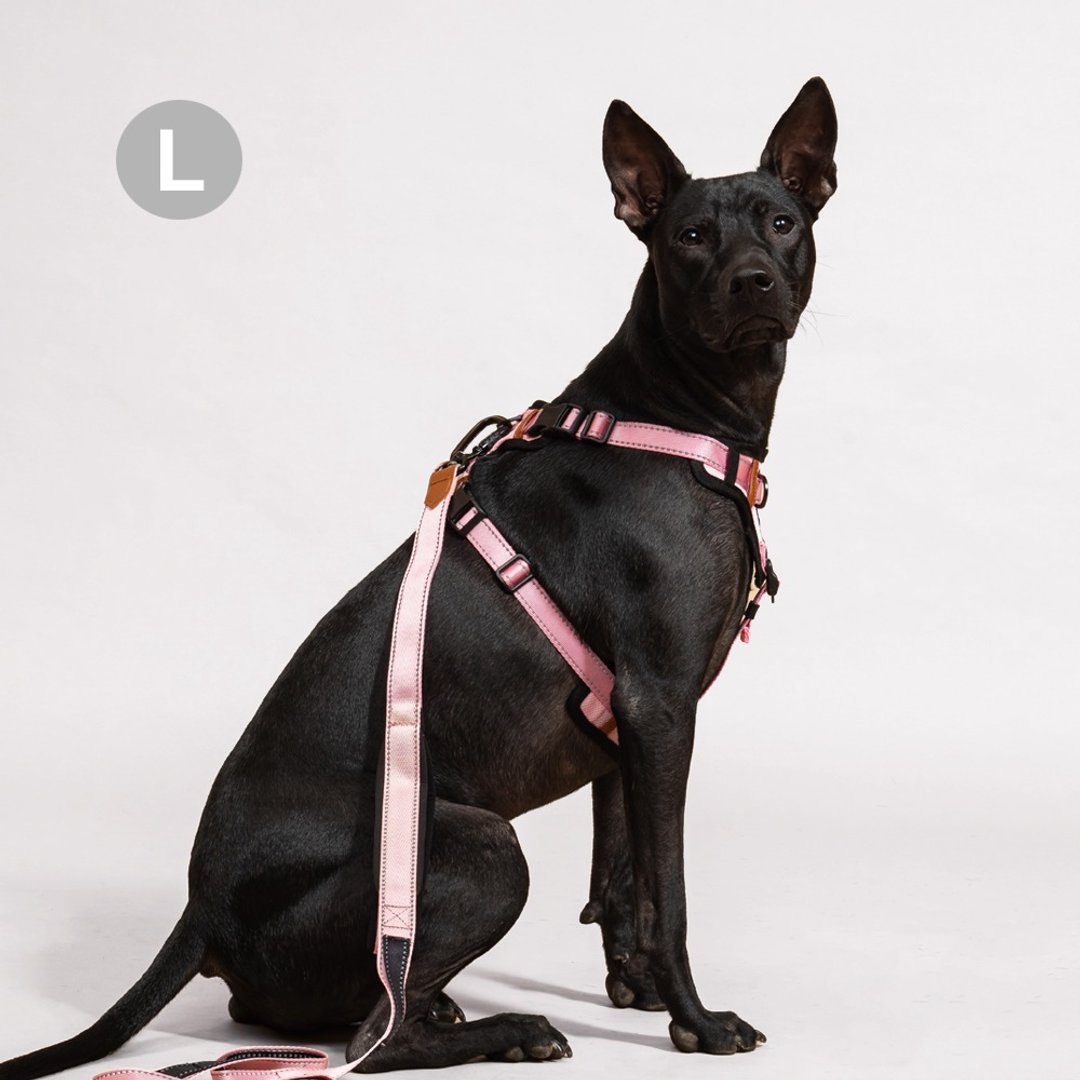 Pawfect-Fit! Pet Harness 机能宠物胸背带2.0(L) - 项圈/牵绳 - 聚酯纤维 