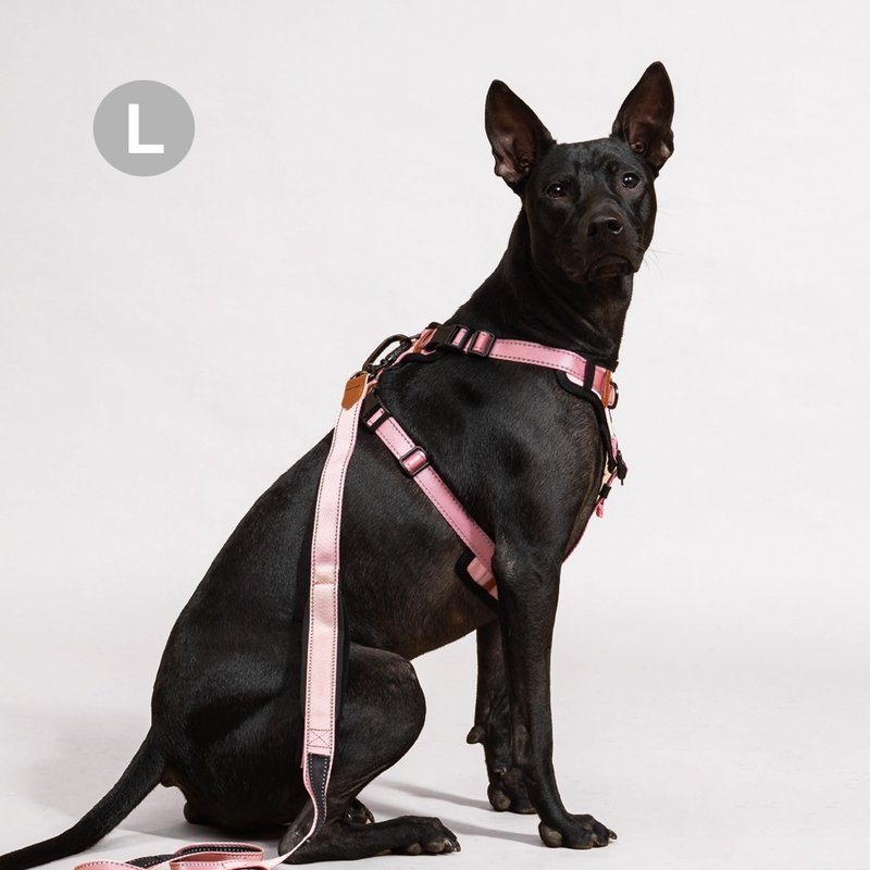 Pawfect-Fit! Pet Harness 机能宠物胸背带2.0(L) - 项圈/牵绳 - 聚酯纤维 