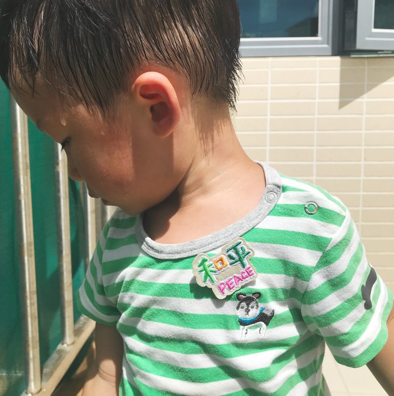 圣灵小果子 和平 PEACE 刺绣别针/烫贴绣 福音商品 - 胸针 - 绣线 绿色