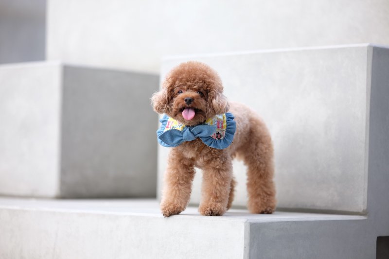 黄色零食 大蝴蝶斗篷cut - 绑结款 - 项圈/牵绳 - 棉．麻 