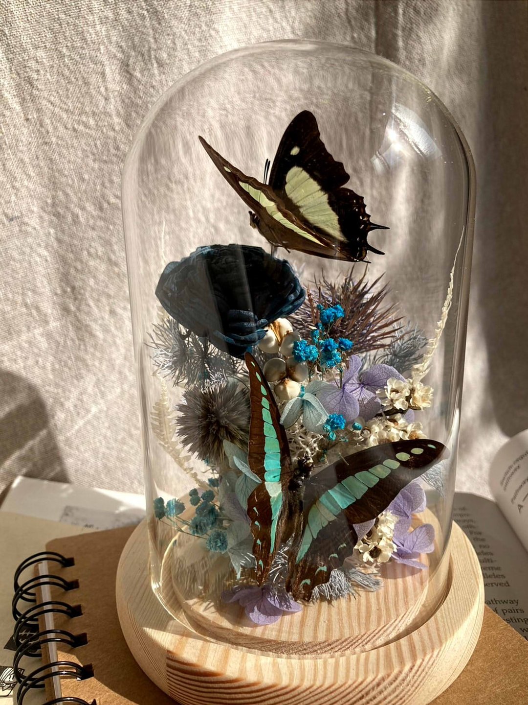 【鲤花】 蝴蝶标本玻璃盅-飞翔溪涧/永生花/干燥花/凤蝶/生态瓶 - 干燥花/捧花 - 植物．花 蓝色
