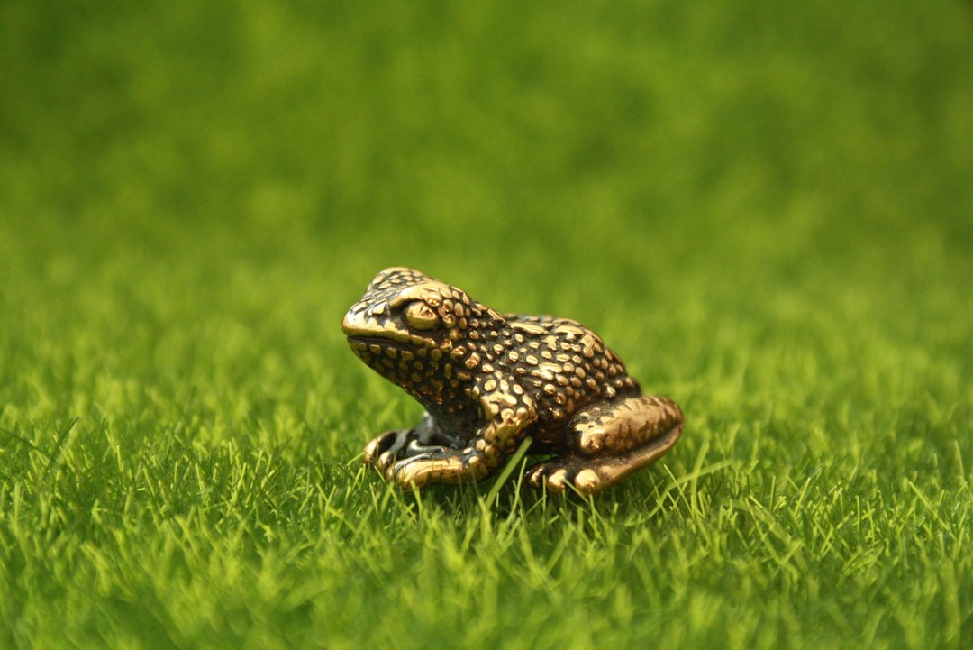 Frog, toad - miniature statuette of bronze, metal figurine - 摆饰 - 铜/黄铜 