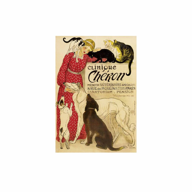 意大利 IFI 明信片 动物医院 - 卡片/明信片 - 纸 多色