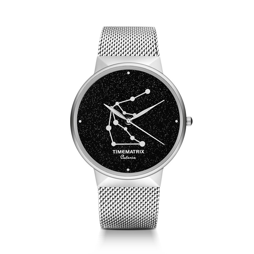 【丹麦星彩宝石】水瓶座 Time Matrix 星座创意时尚男女石英手表 - 男表/中性表 - 其他金属 银色