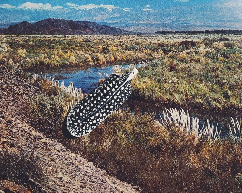 木刻手绘坠饰 - 羽毛 - 其他 - 木头 黑色