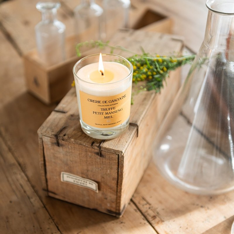 法国Cirerie de Gascogne天然香氛蜡烛 – 松露x小蒙仙x蜂蜜 - 蜡烛/烛台 - 纸 多色