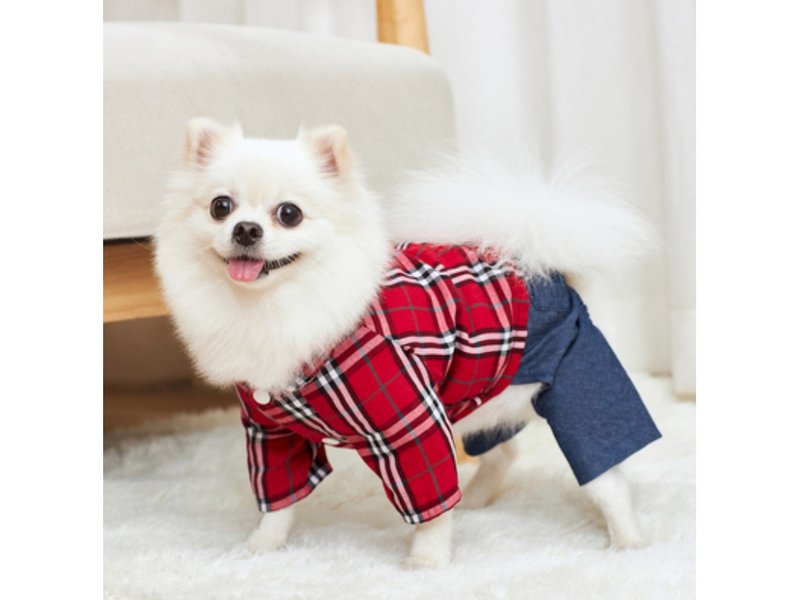 【iC原创】纯棉蓝色牛仔裤 - 衣/帽 - 棉．麻 