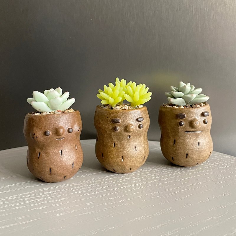 Pin Ceramics X Una Sofa Handmade 限量联名款。好事植得花生 - 植栽/盆栽 - 粘土 绿色