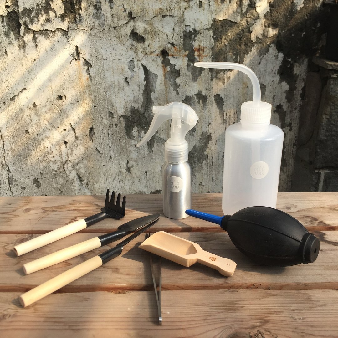 DOLOMAMA 多肉专用工具组 园艺工具大补帖全配组 - 其他 - 纸 