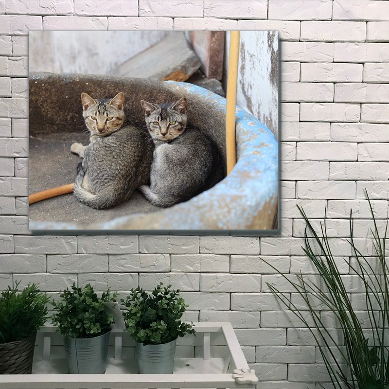 无框复制画 |  猫咪相依偎A0047 | K艺术家 - 海报/装饰画/版画 - 其他材质 多色