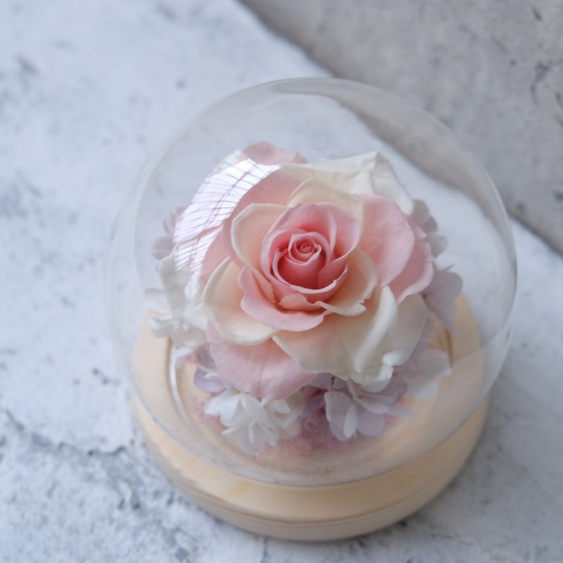 玻璃钟罩/红色/不凋花/永生花/干燥花/ 七夕/拼接玫瑰/独一无二 - 植栽/盆栽 - 植物．花 粉红色