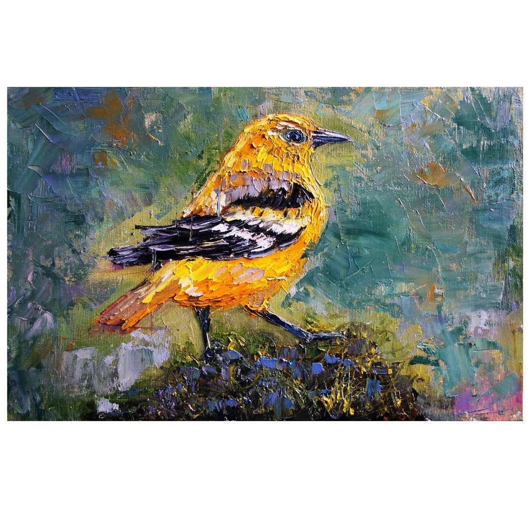 Baltimore Oriole Painting Oil Bird Original Art Animal Artwork Canvas Art - 海报/装饰画/版画 - 其他材质 多色