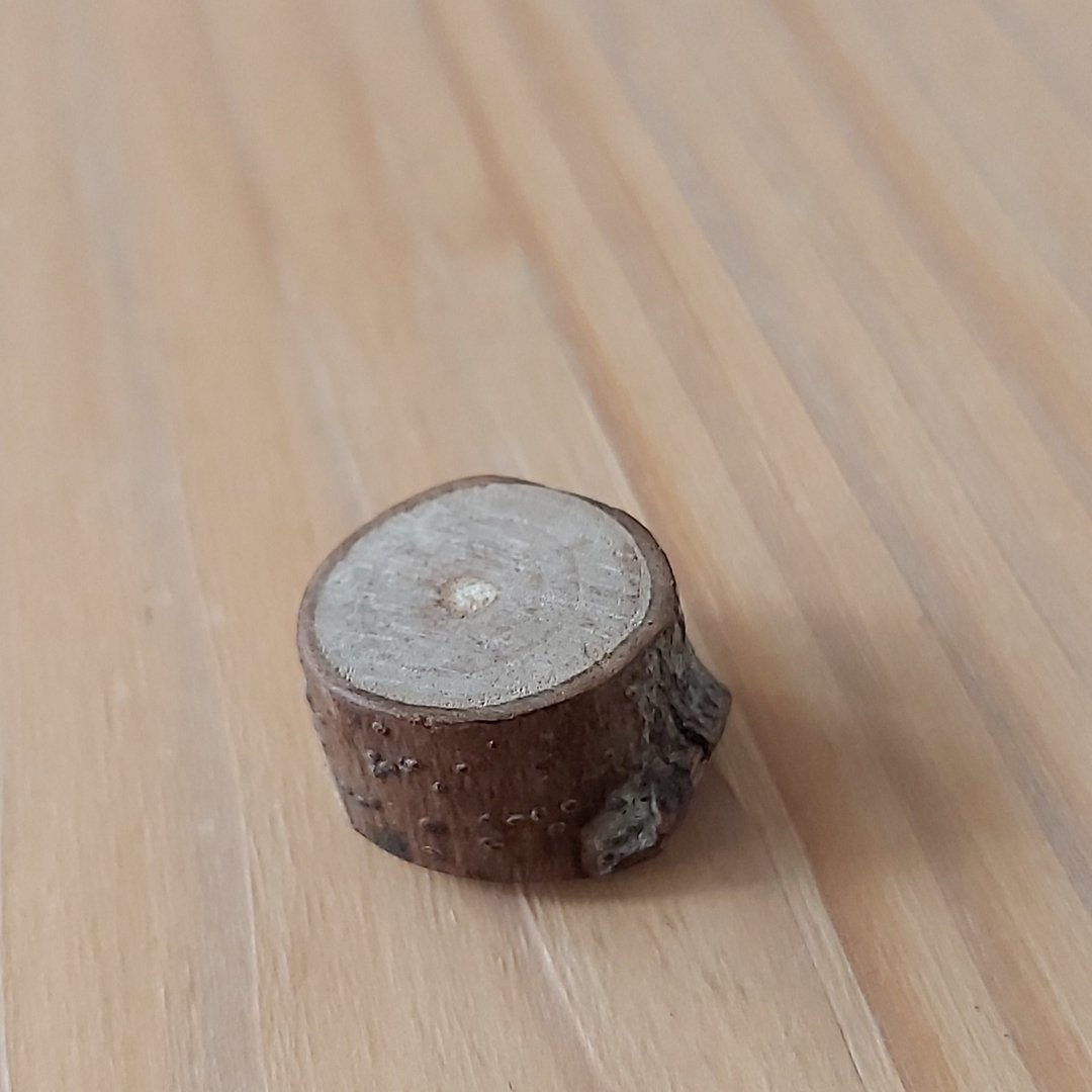 樟树扩香木汝磁铁 (带节点) - 冰箱贴/磁贴 - 木头 咖啡色