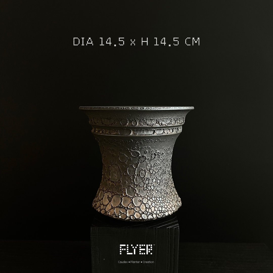 FLYER泡泡系列 块根多肉植物陶盆器 龙舌兰象牙宫盆器 - 花瓶/陶器 - 陶 