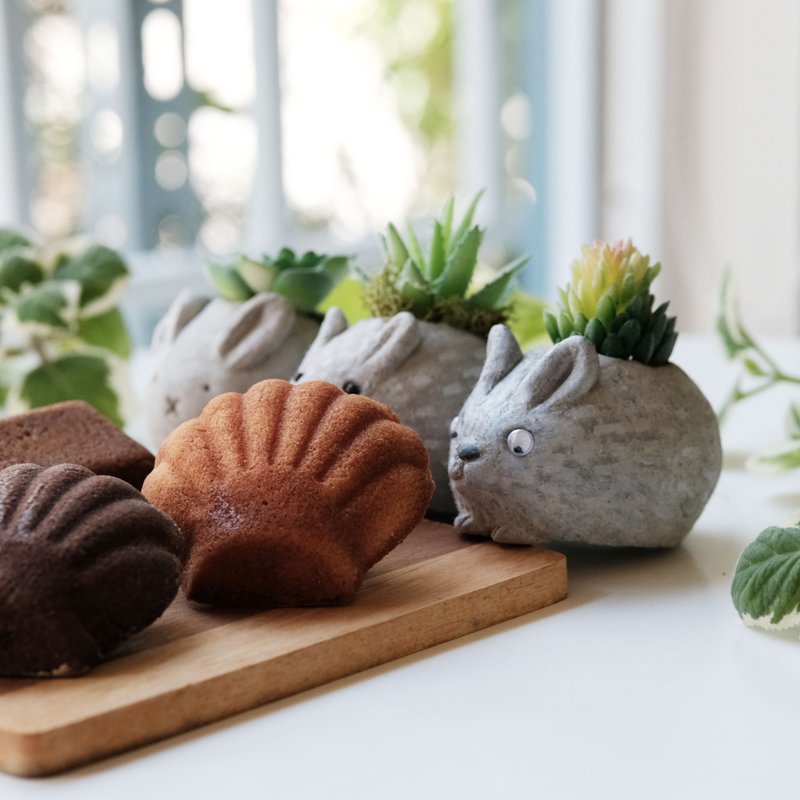 水泥兔子盆栽 手作课程 甜点组合 中秋节礼物 体验 活动 多肉盆栽 - 其他 - 水泥 