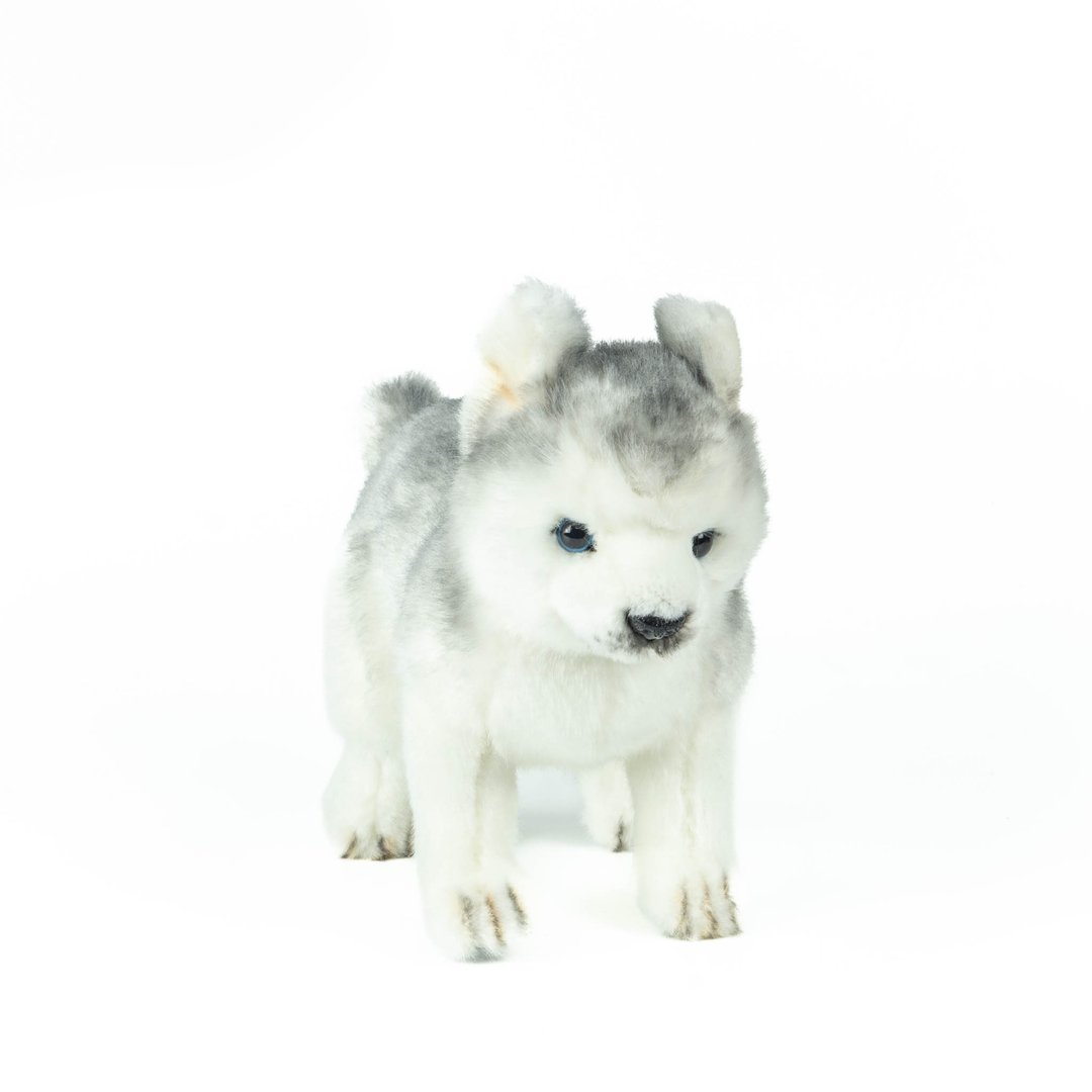 Hansa 8570-哈士奇幼犬站姿30厘米长 - 玩偶/公仔 - 环保材料 灰色
