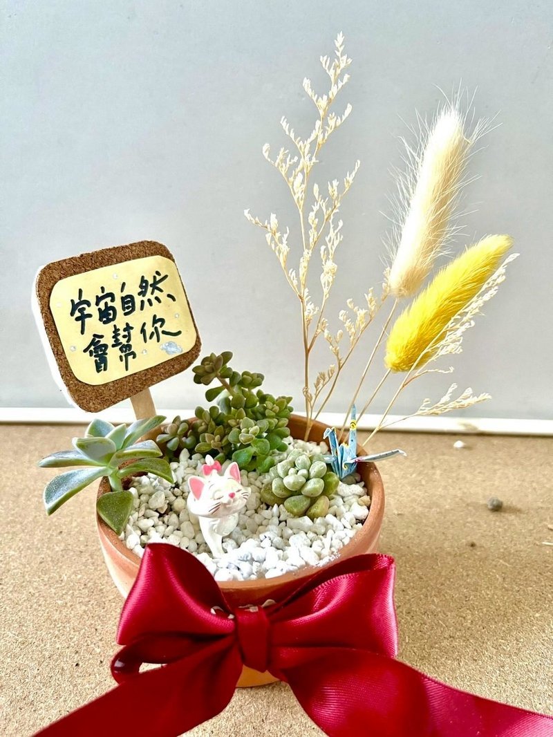 台中多肉组盆 多肉植物 日式枯山水 微景观 迪士尼 玛丽猫 Marie - 植栽/盆栽 - 植物．花 绿色