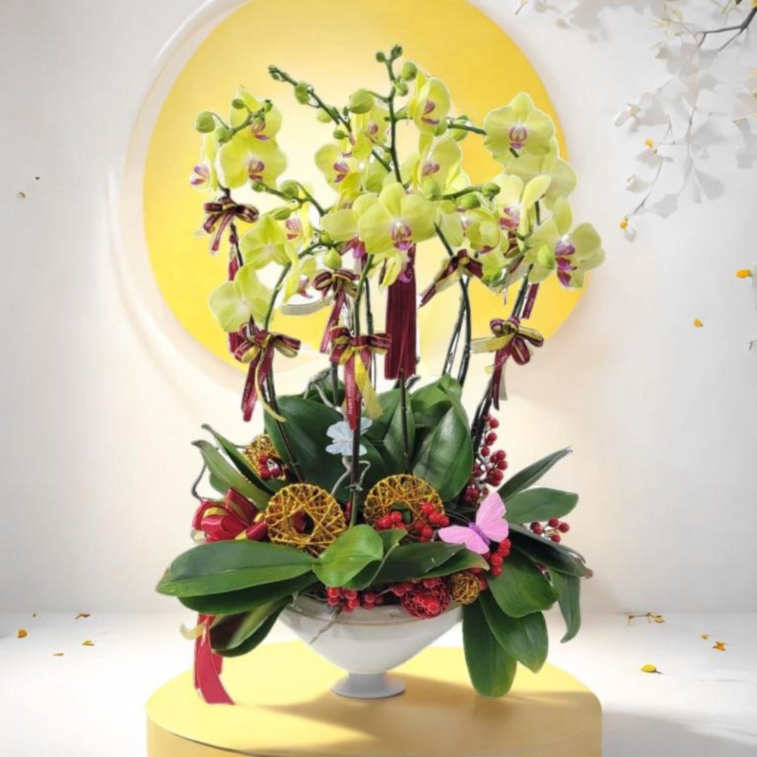 格兰花店 - 甜格格蝴蝶兰10棵配喜庆挂饰 (GF00306) - 植栽/盆栽 - 植物．花 