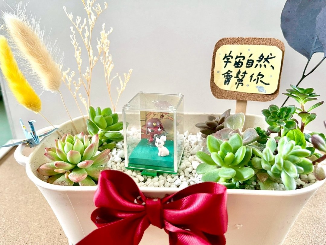Giroro 伍长 晋升礼物 军人礼物 多肉 仙人掌 盆栽 多肉植物 日式 - 植栽/盆栽 - 植物．花 绿色