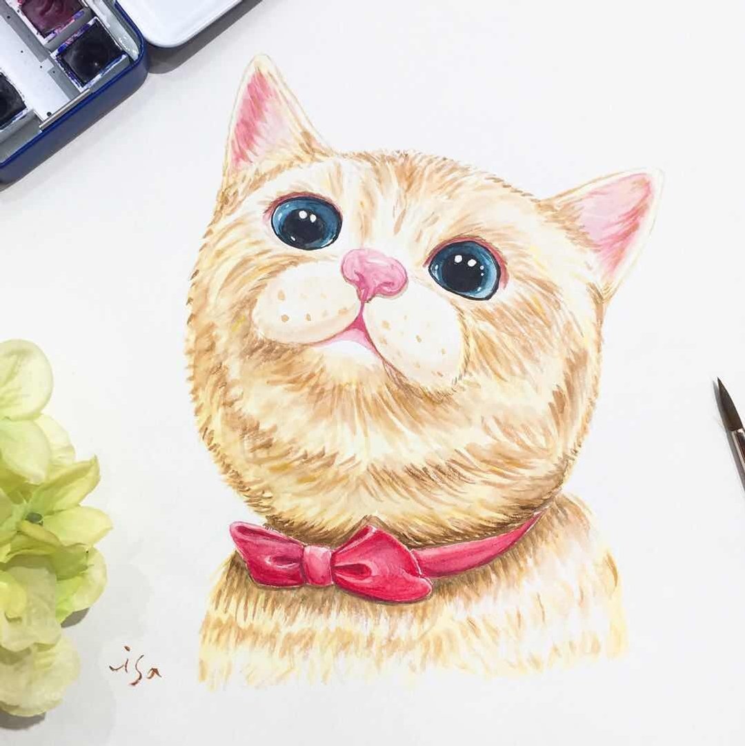 定制水彩动物 宠物画像 - 订制画像 - 其他材质 白色