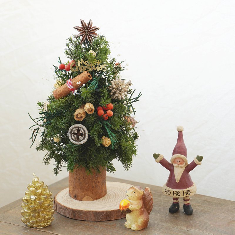 【圣诞小物】欢乐满分永生圣诞树 (两款) - 干燥花/捧花 - 植物．花 