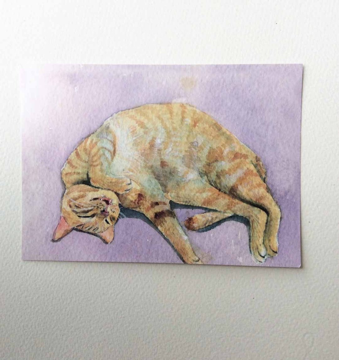 猫咪好眠系列   手绘明信片 橘猫 - 卡片/明信片 - 纸 橘色