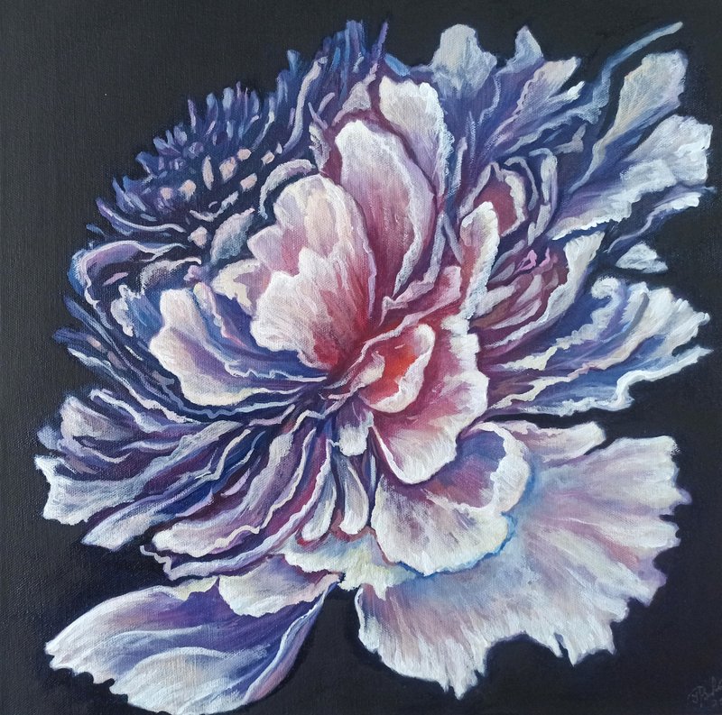 白牡丹画作 原创艺术 花卉油画 画布花卉艺术品 - 海报/装饰画/版画 - 其他材质 白色