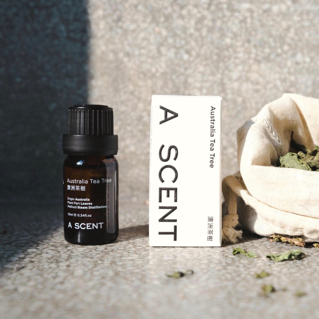 澳洲茶树精油 10ml - 香薰/精油/线香 - 精油 绿色