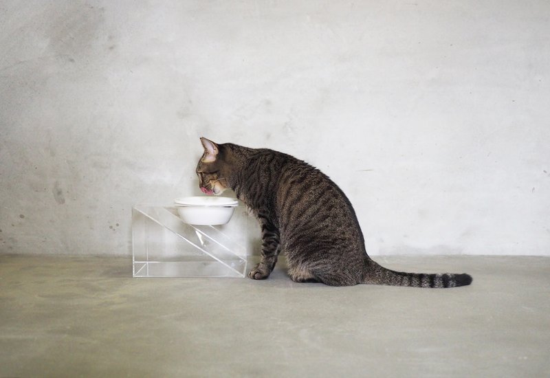 透明三角/猫碗/宠物碗/碗架/陶瓷碗/猫/狗 - 碗/碗架 - 压克力 透明
