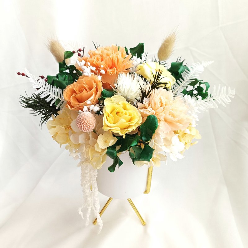 永生康乃馨 盆花/母亲节/花束 - 干燥花/捧花 - 植物．花 橘色