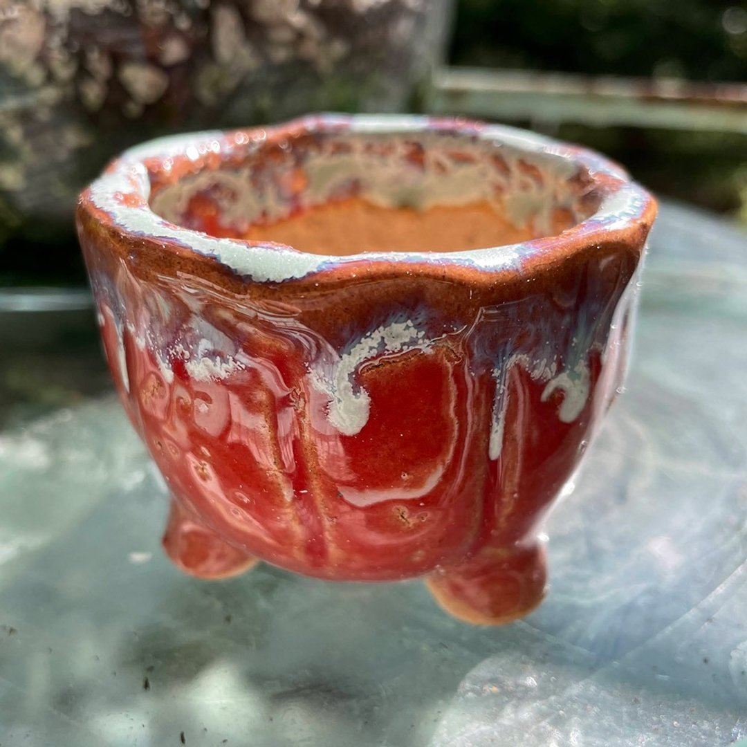【猫宅】多肉植物 天然麦饭石 高透气 粉色上釉多肉花盆 - 花瓶/陶器 - 陶 