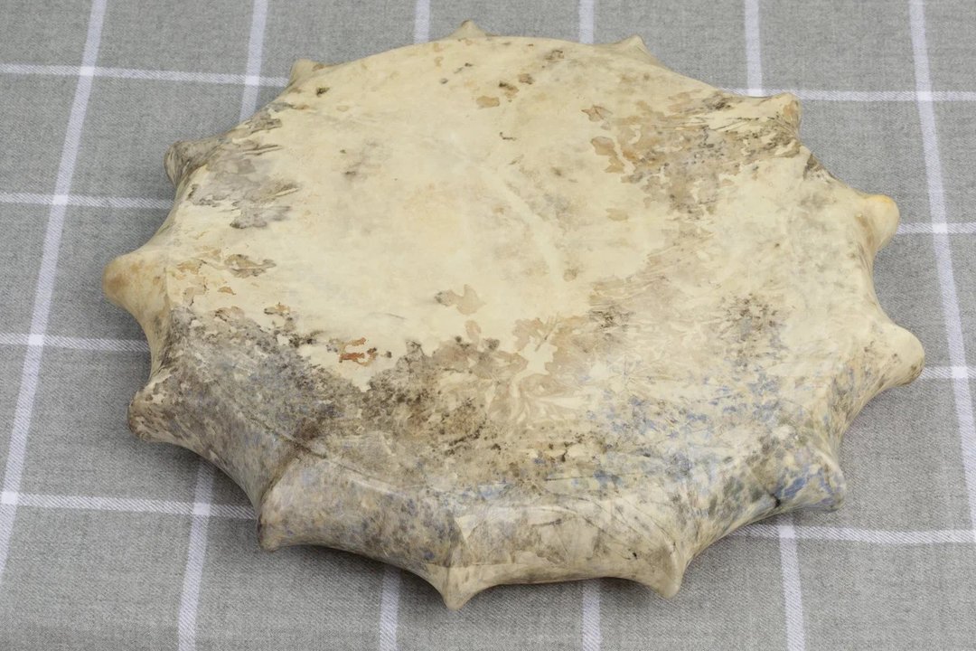 Mysterious House Decoration: Handmade Gothic Drum as a Rare Gift for Music Art - 吉他/乐器 - 其他材质 黄色