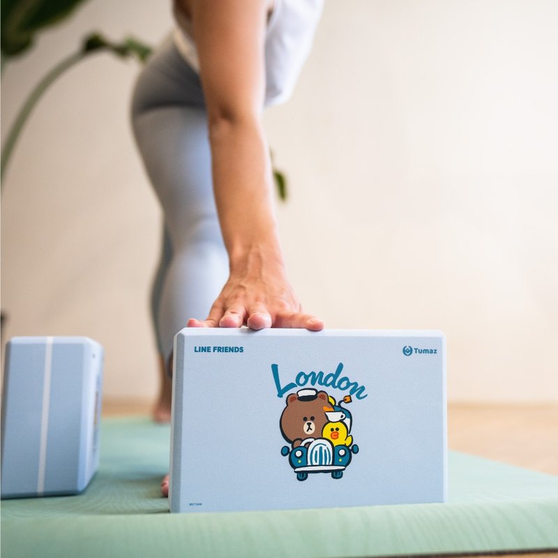 LINE FRIENDS正版授权 50D瑜珈砖 熊大 莎莉 兔兔 - 运动/健身用品 - 其他材质 