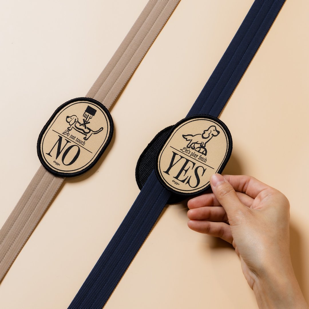 Wappen 玛德琳皮带贴片 - 衣/帽 - 其他材质 多色
