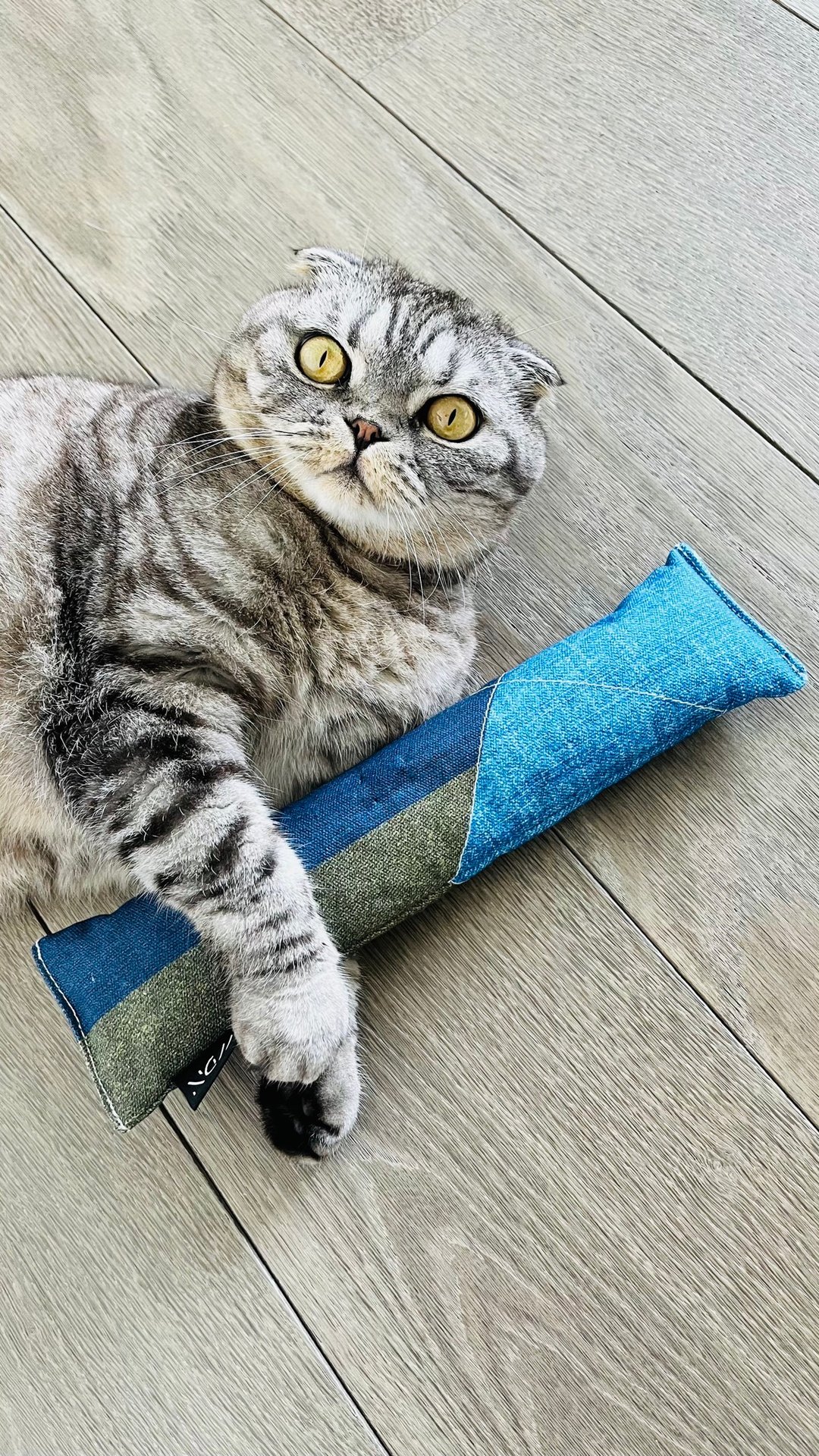 猫草牛仔踢踢抱枕 Green &amp; Blue Parallel - 玩具 - 棉．麻 蓝色