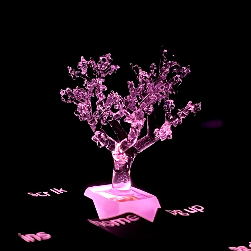 键帽, 樱花, 透明, 清晰, 游戏, 键盘, 樱桃MX - 其他 - 塑料 透明