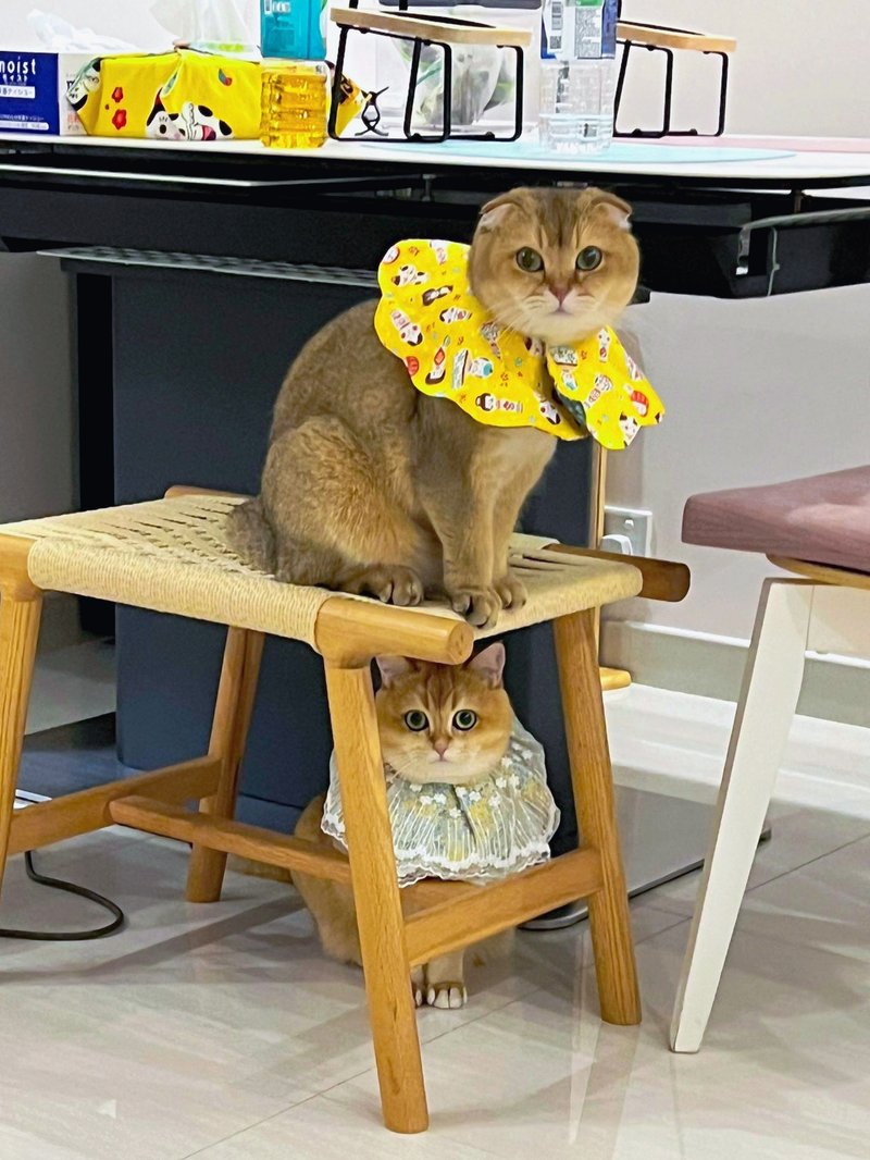 猫咪花形口水肩 四合扣款 - 衣/帽 - 棉．麻 黄色