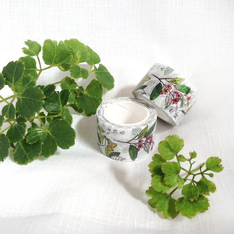 TAPEHOLIC纸胶带 | 枝梢花开-冬 [限量] - 纸胶带 - 纸 绿色