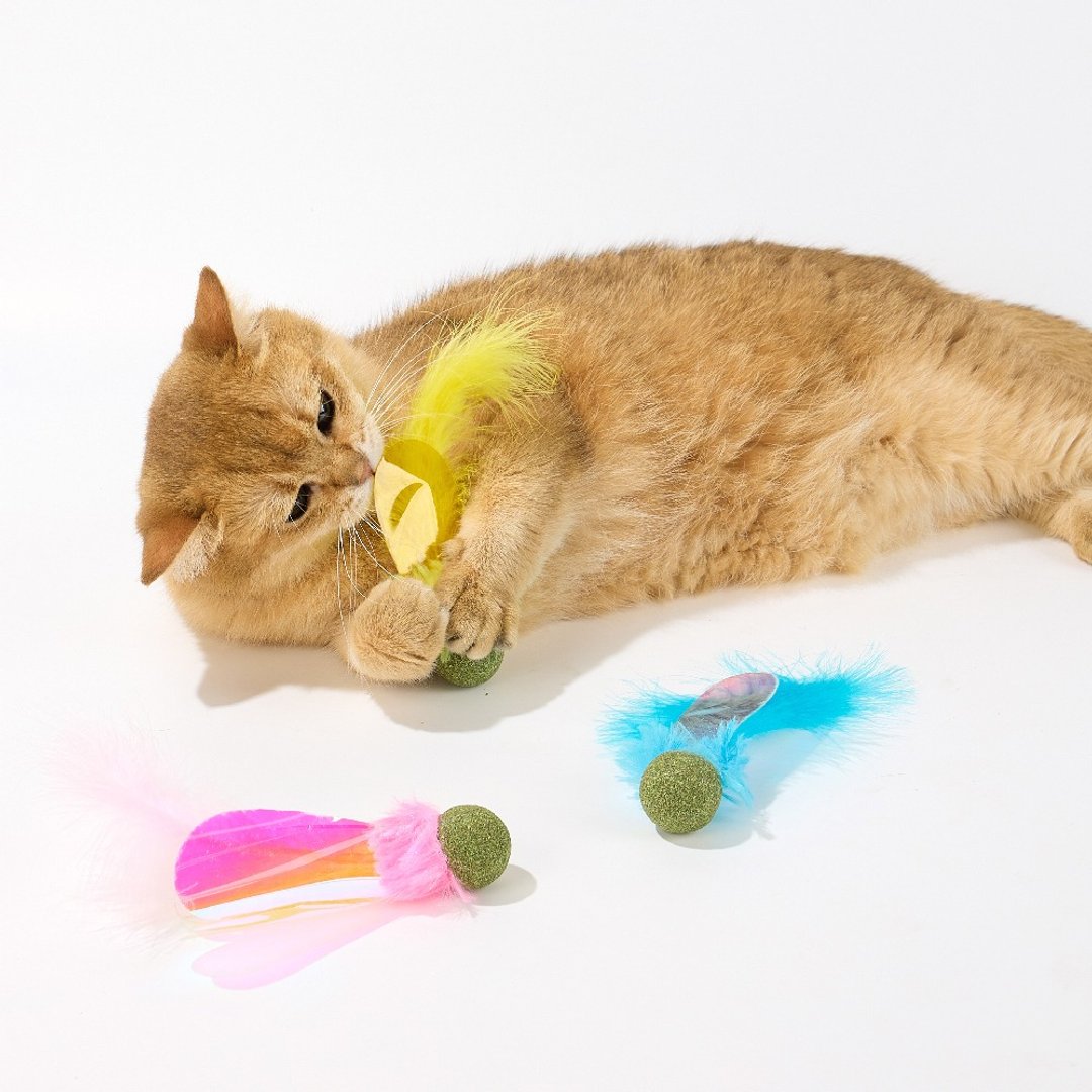 【LUUKS UP】缤纷小翅膀猫玩具 | 虫虫造型激发猫咪的狩猎本能 - 玩具 - 其他材质 多色
