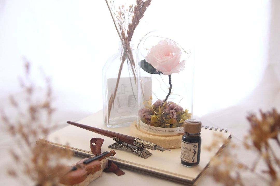 【永生花夜灯】淡粉色玫瑰夜灯 - 摆饰 - 植物．花 